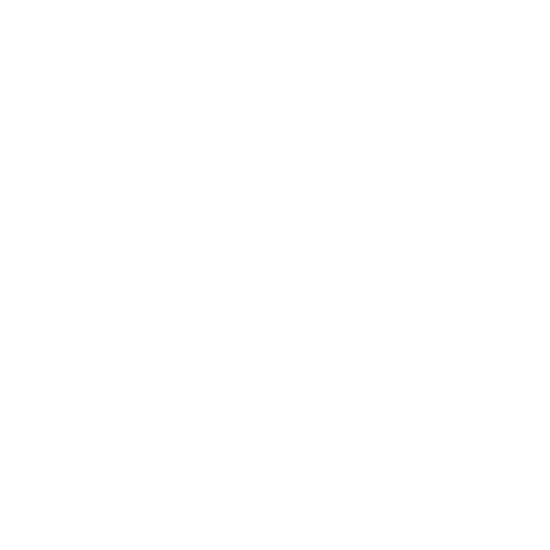 RevellX